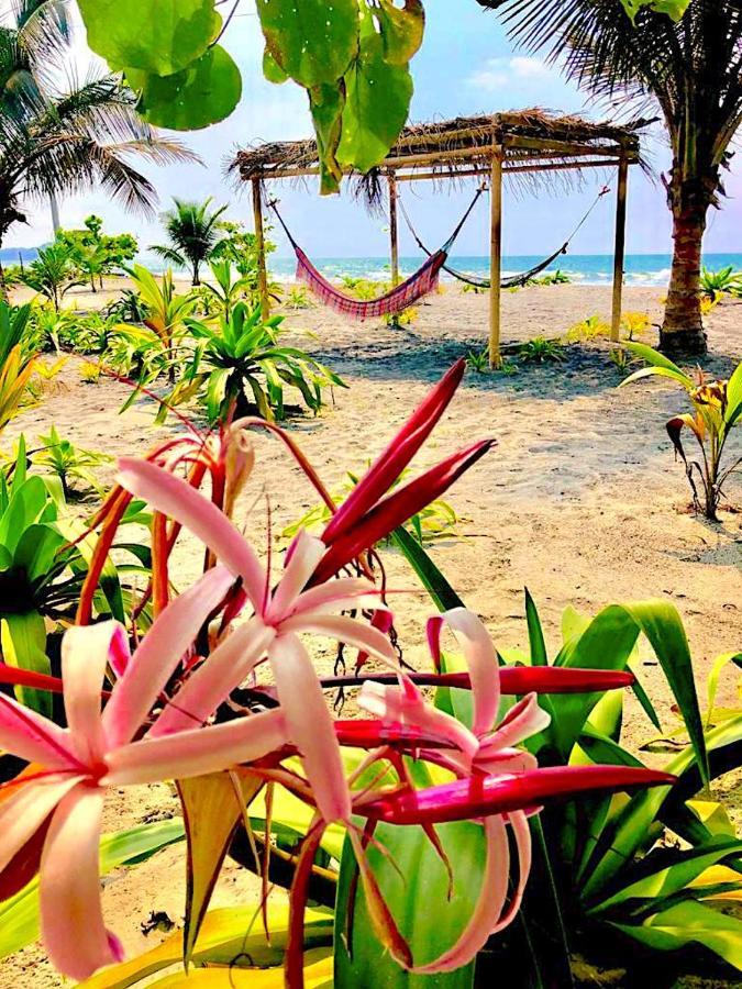 Seaside Garden Mompiche