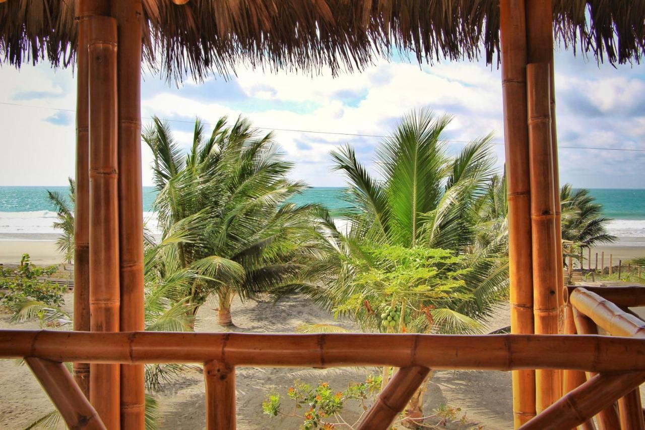 Seaside Garden Mompiche